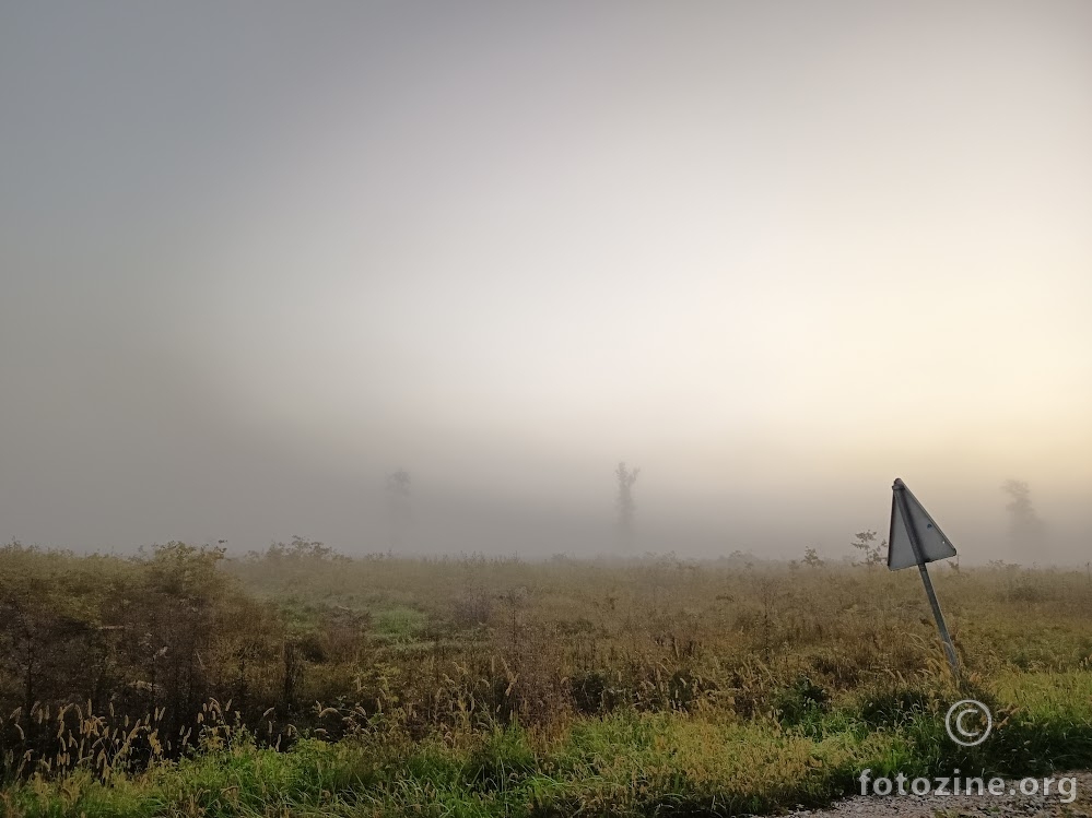 Turopoljski lug izranja iz magle