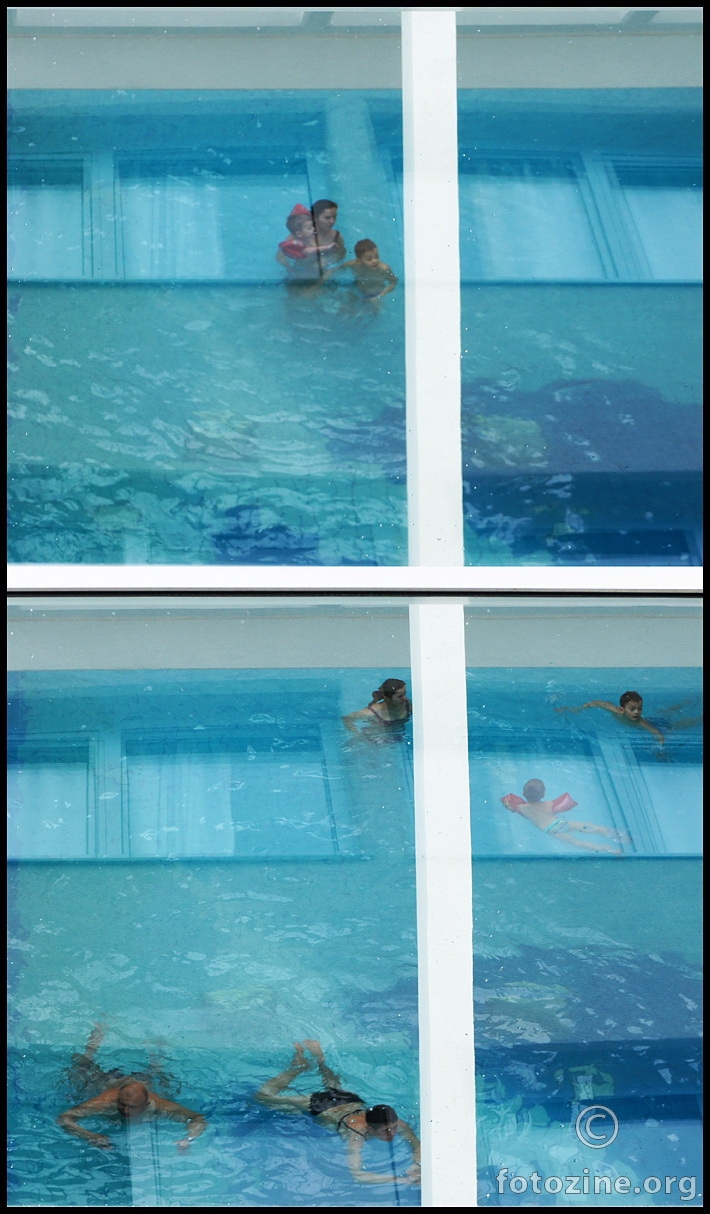 Prozorski plivači