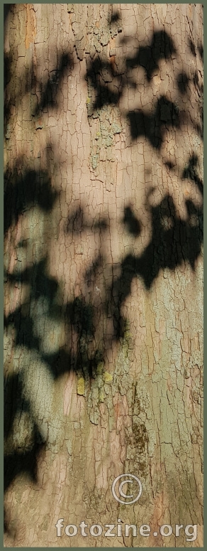 foto br. 742290