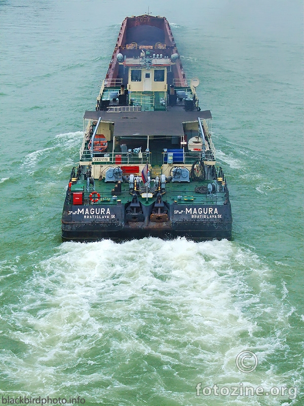 Dunavom brodovi plove...