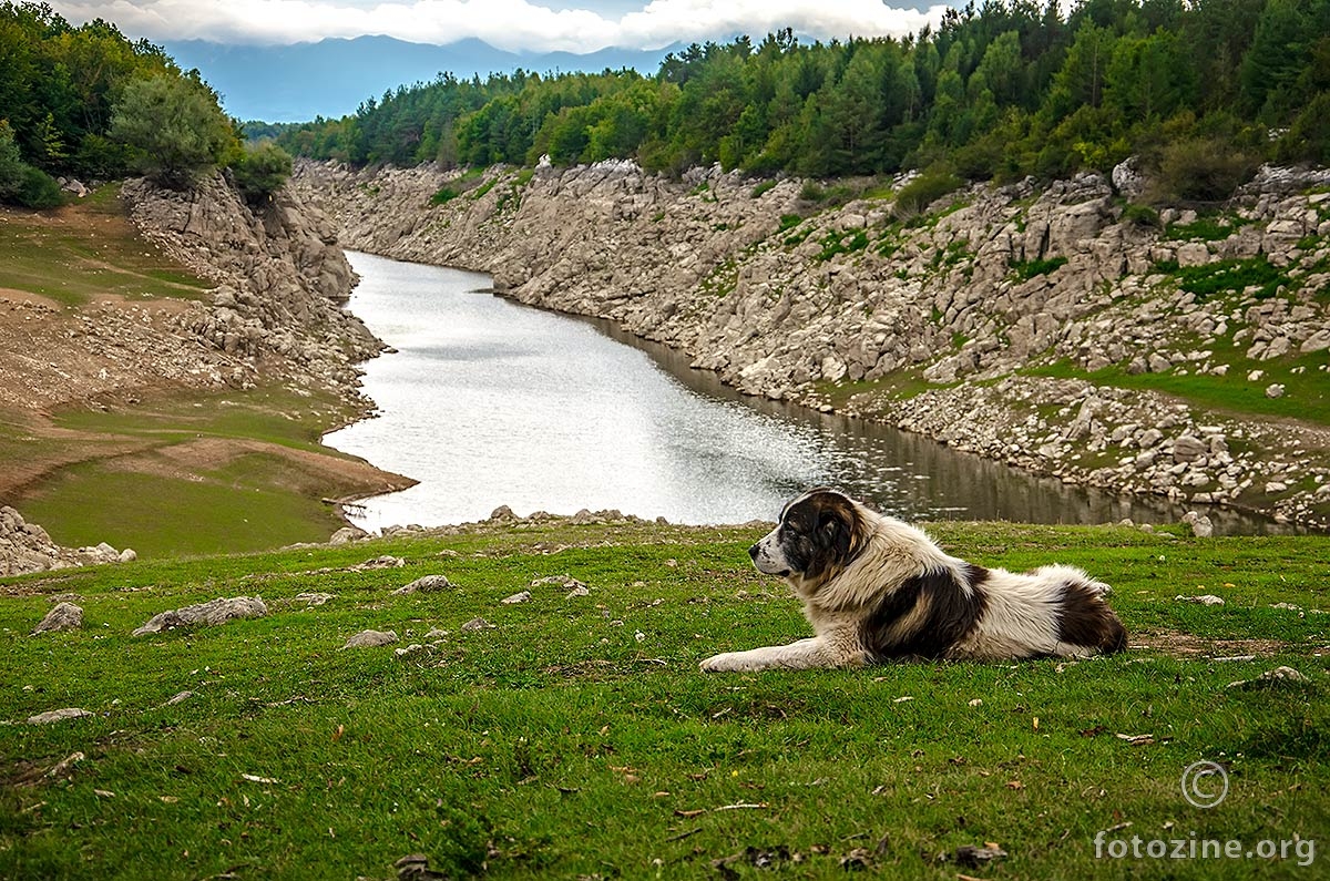 njegov svijet