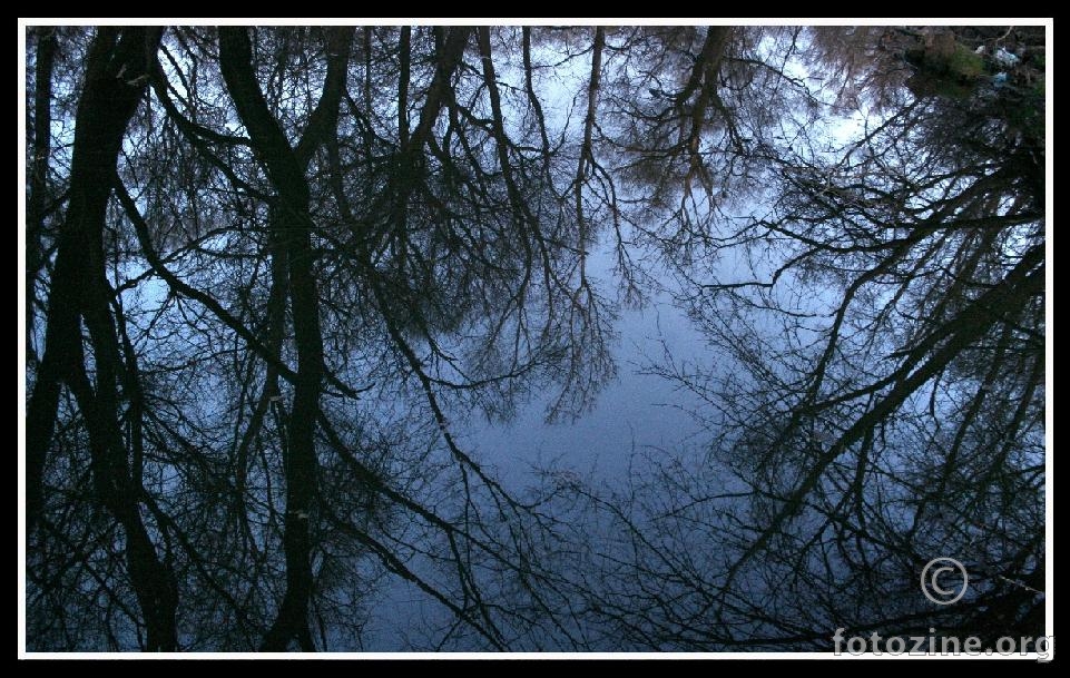 disorientation