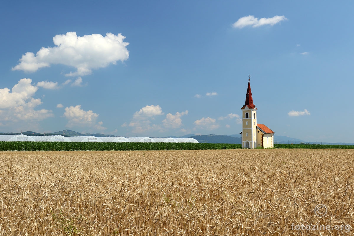 Crkvica u polju