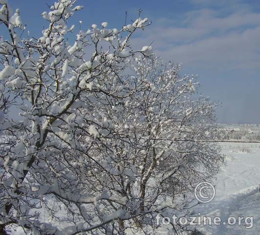 snježno jutro**