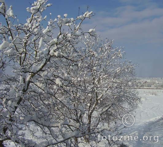 snježno jutro**