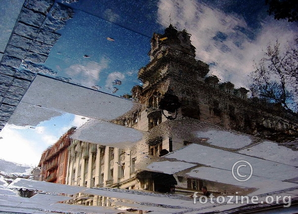 Reflection in Puddle III
