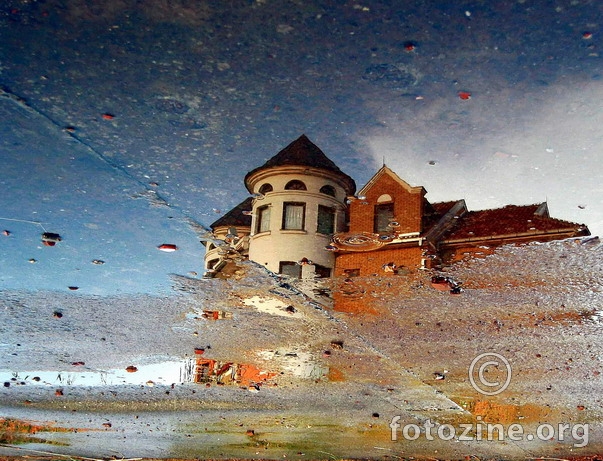 Reflection in Puddle III