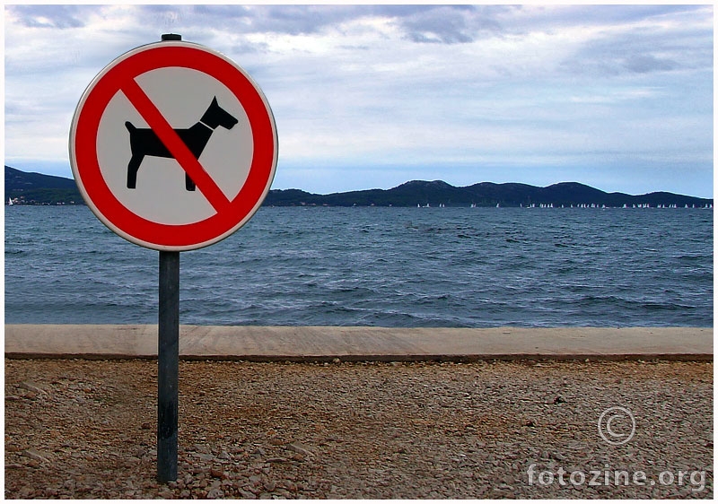 No Dog On My Beach!