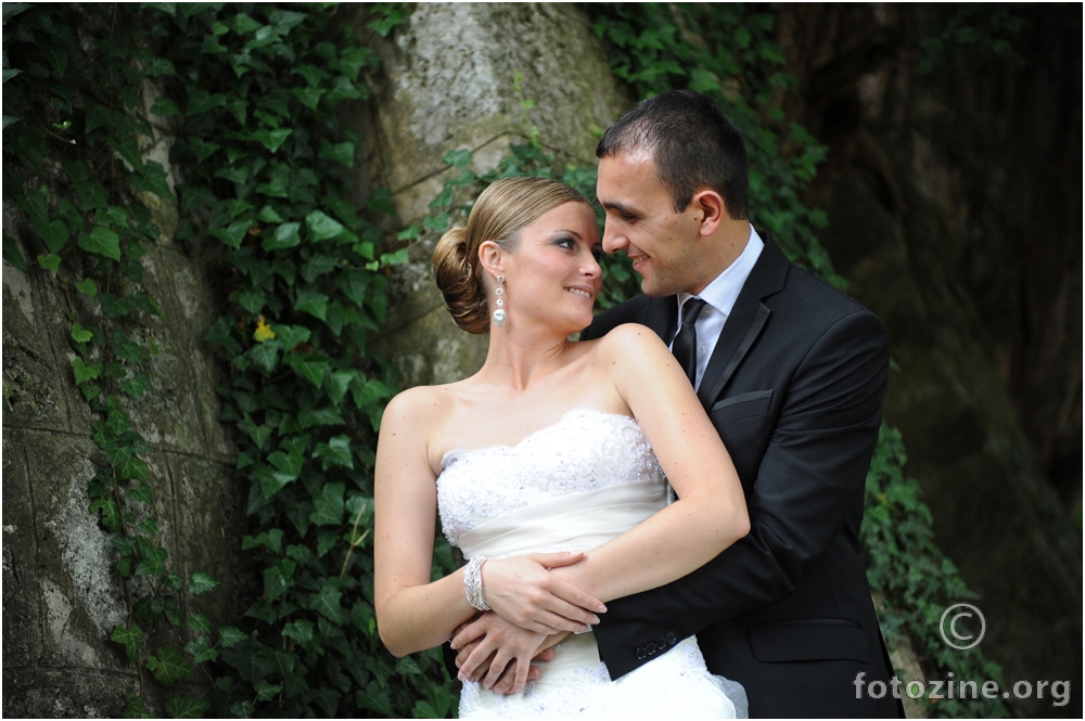 foto br. 366453