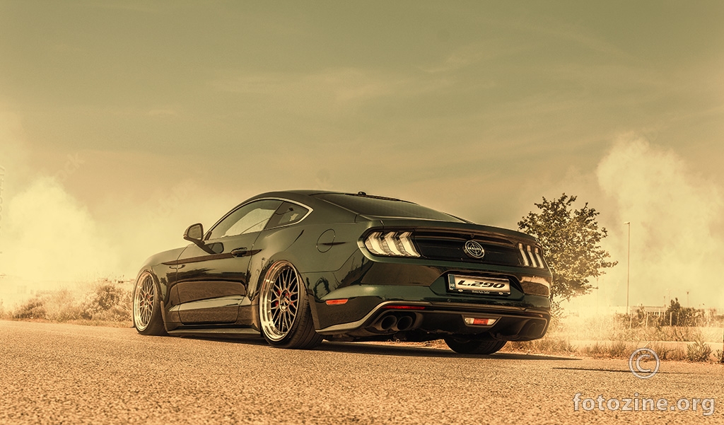 Mustang 