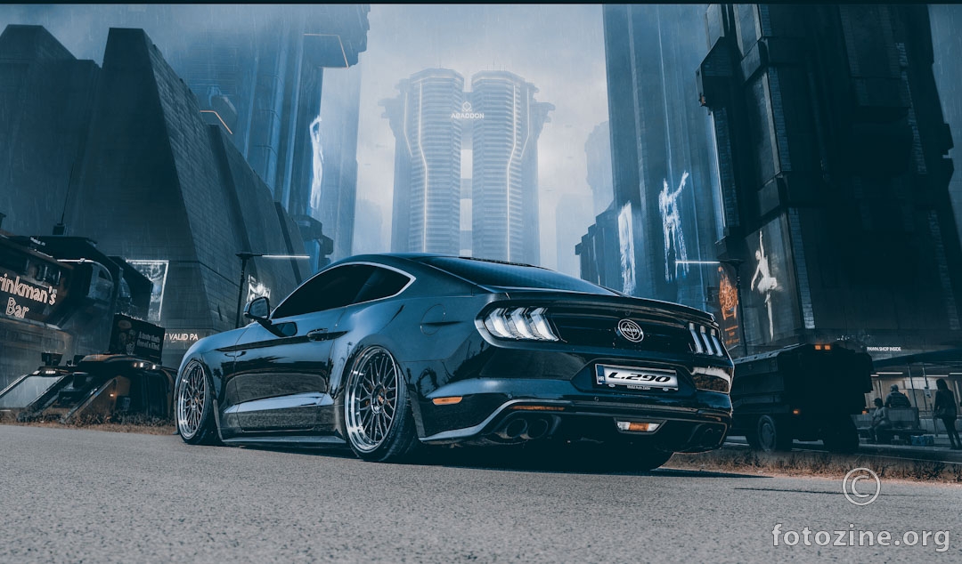 Mustang City Stance 