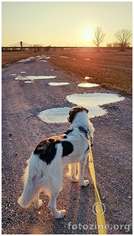 sunce mi na spagici