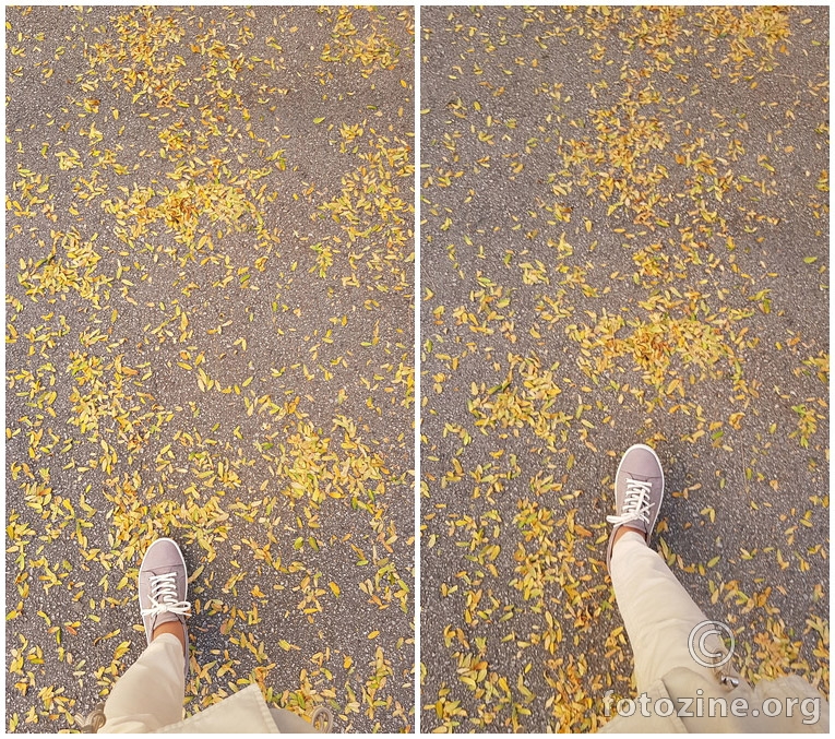 ... njezin put od otpalog je lišća žut...