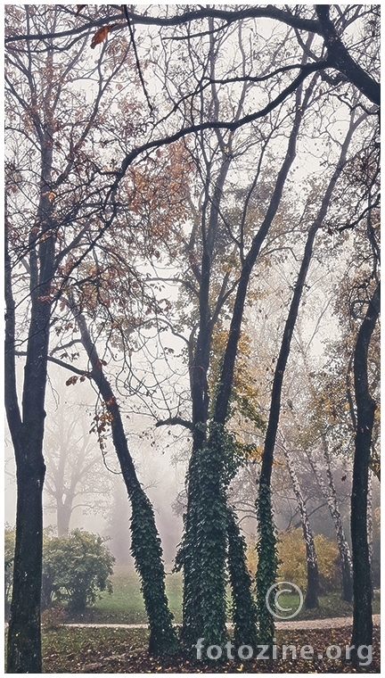 boje jesenje