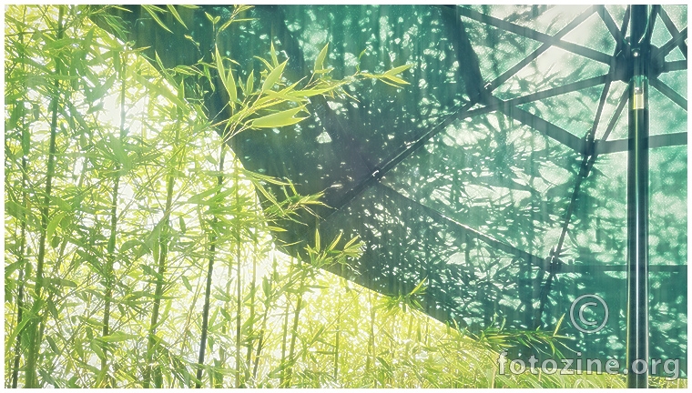 green green grass of home