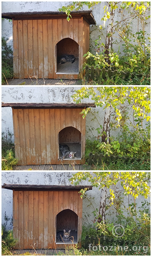 squatter level pro