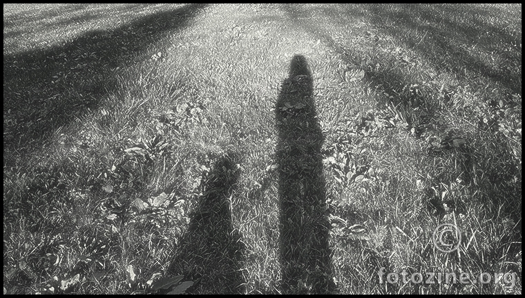 i'm being followed by a dogshadow