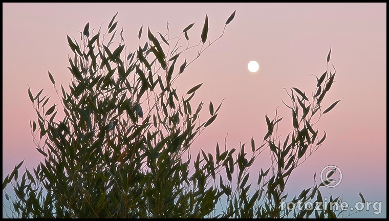 nestaces iz mog zivota