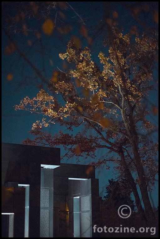 loving angels instead