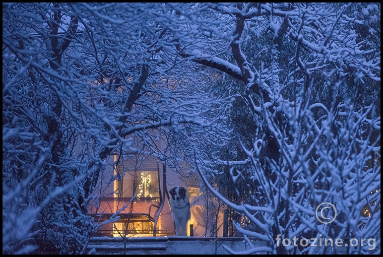 winter wonderland