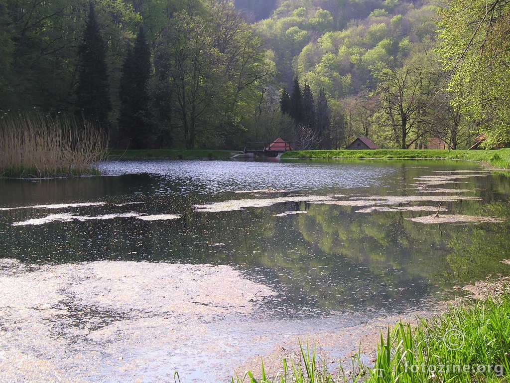 Jankovac Jezero