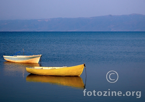 boats