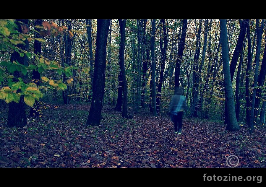 U šumi