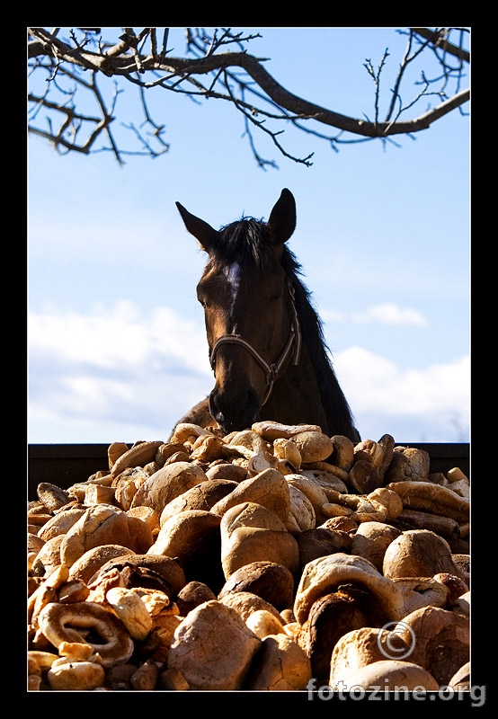 cookie na atmeniu