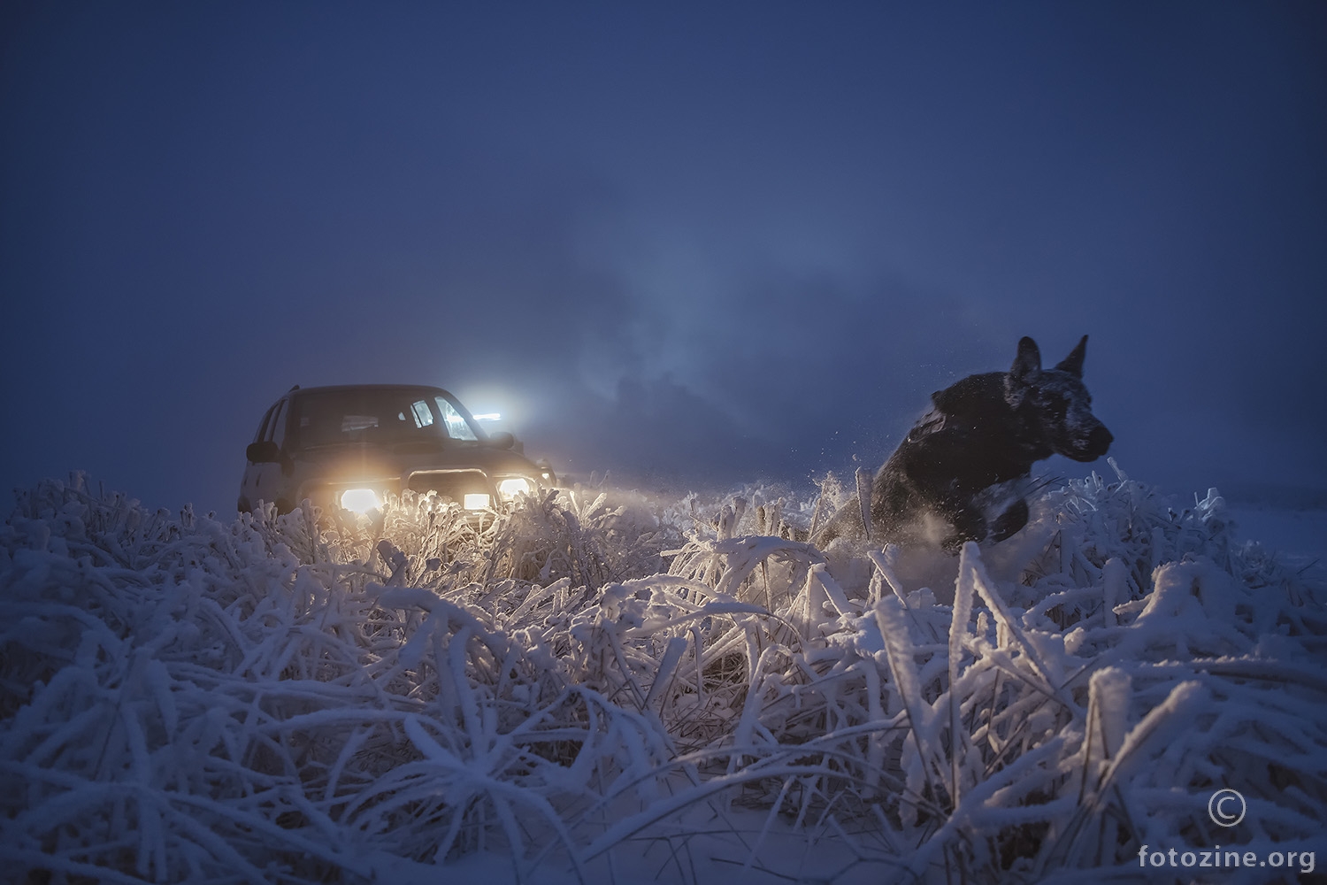 the hunt
