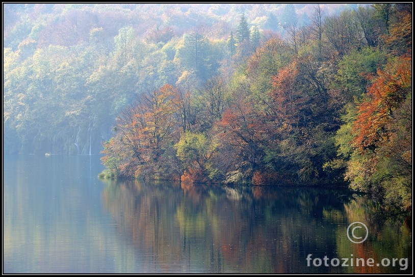 Čudesna šuma II