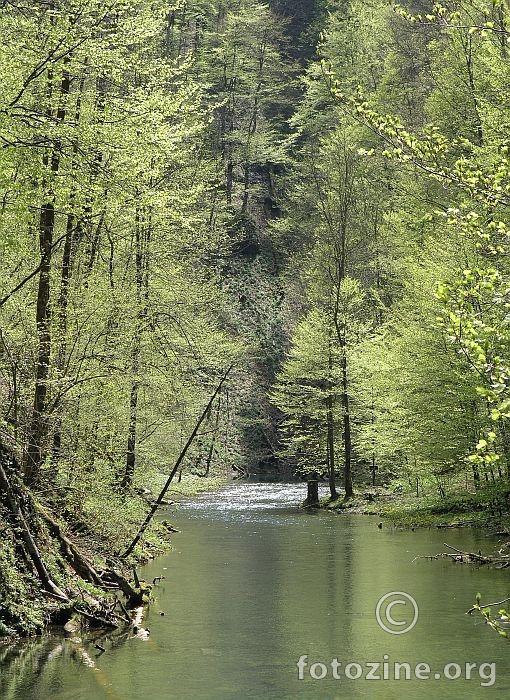 Kamačnik u svibnju