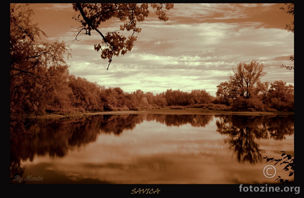 Savica