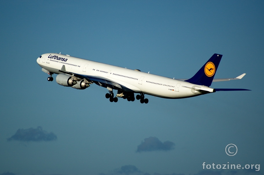 LH