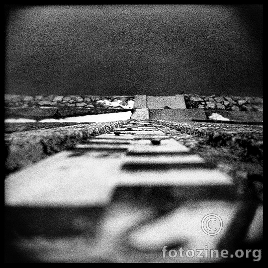 Holga Camera Fragment