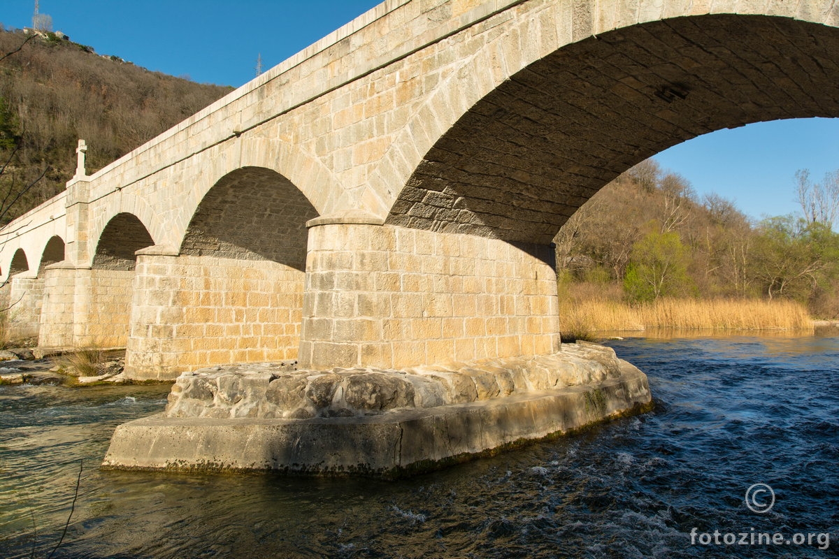 Pavića most