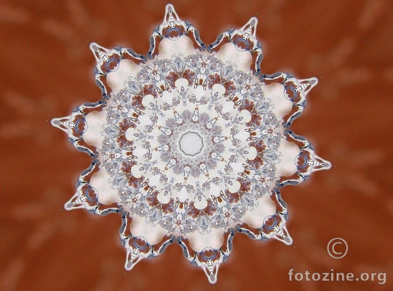 Microscopic snowflake