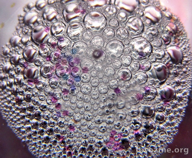 microscopic bubbles