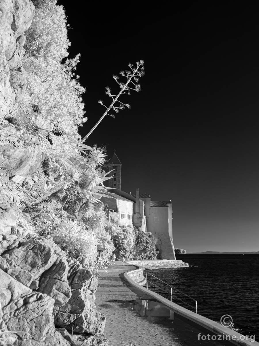 foto br. 776241