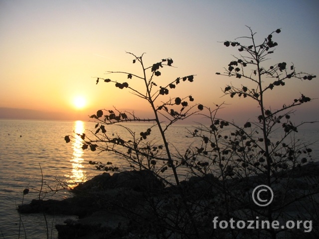 foto br. 137370