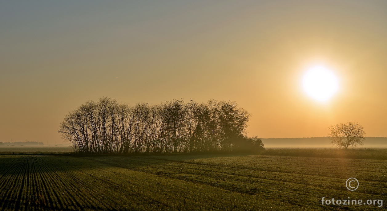 jutarnja maglica