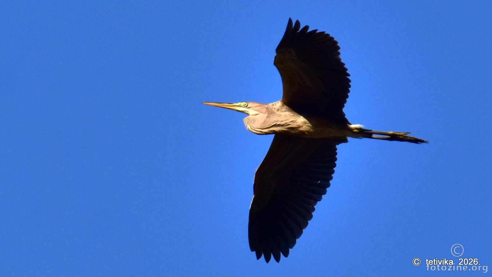 Danguba
