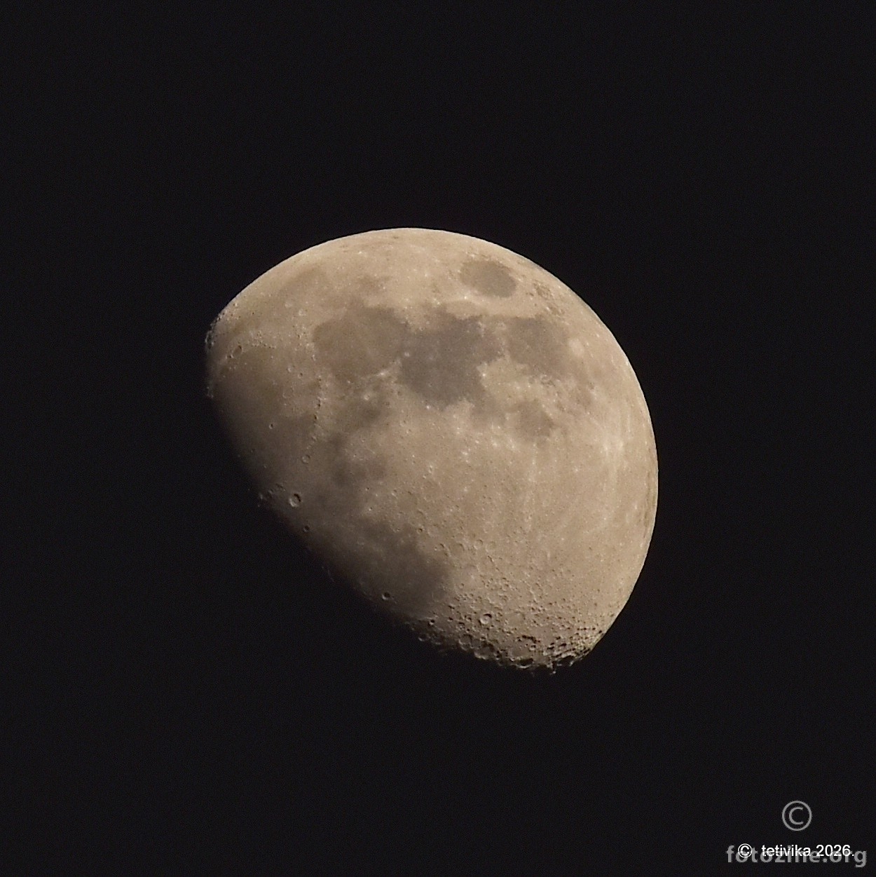 Luna žuta