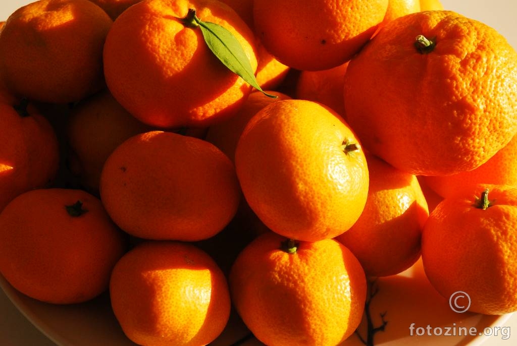 Mandarina, Citrus sp.