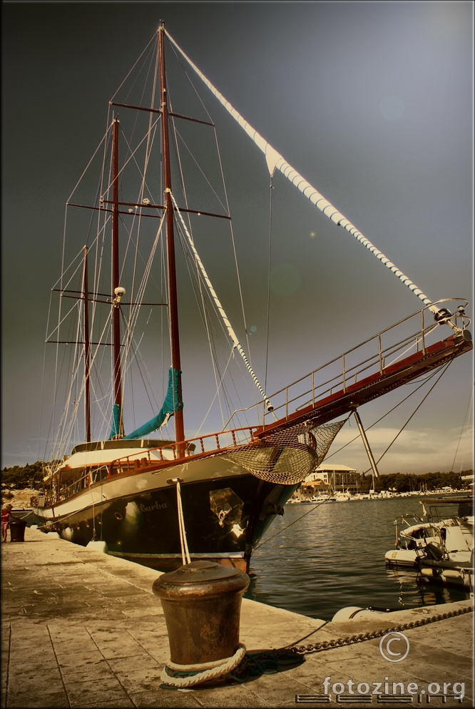 foto br. 334056