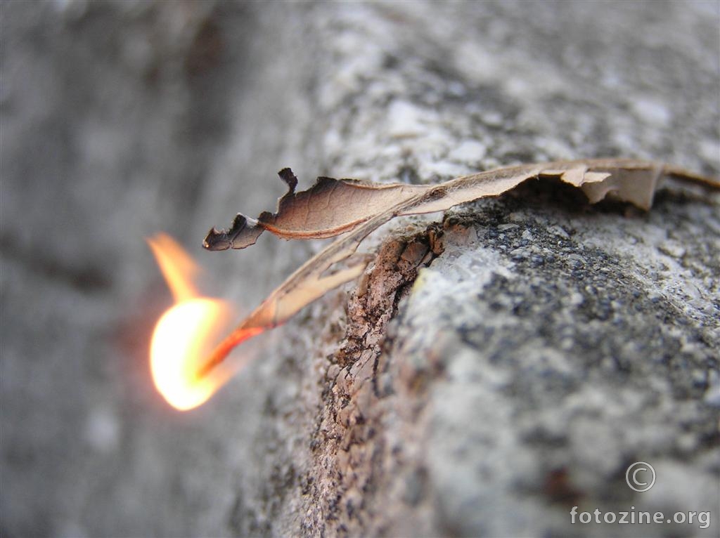 leaf on fire