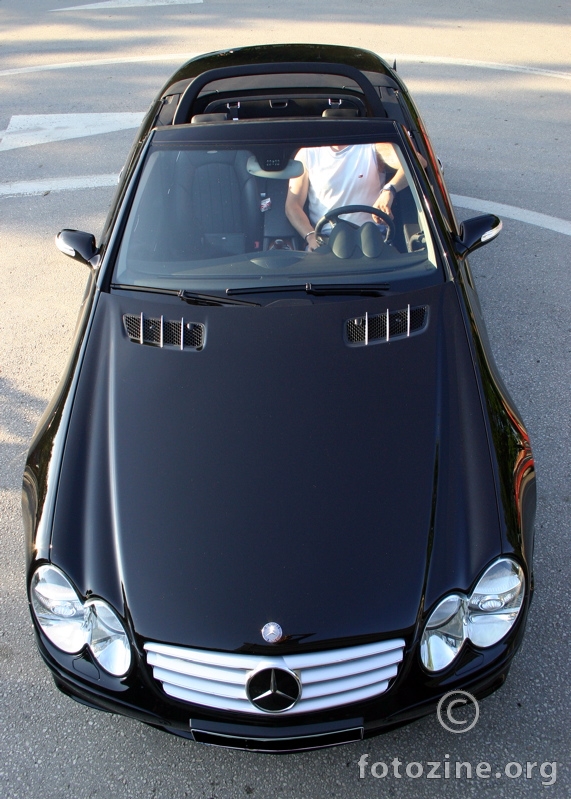 autoportret