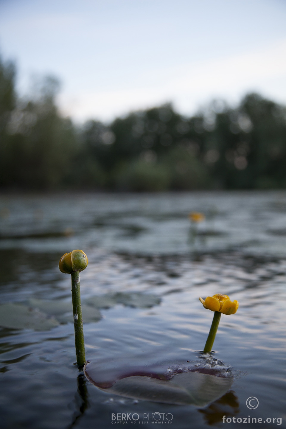 Jezero Orešje