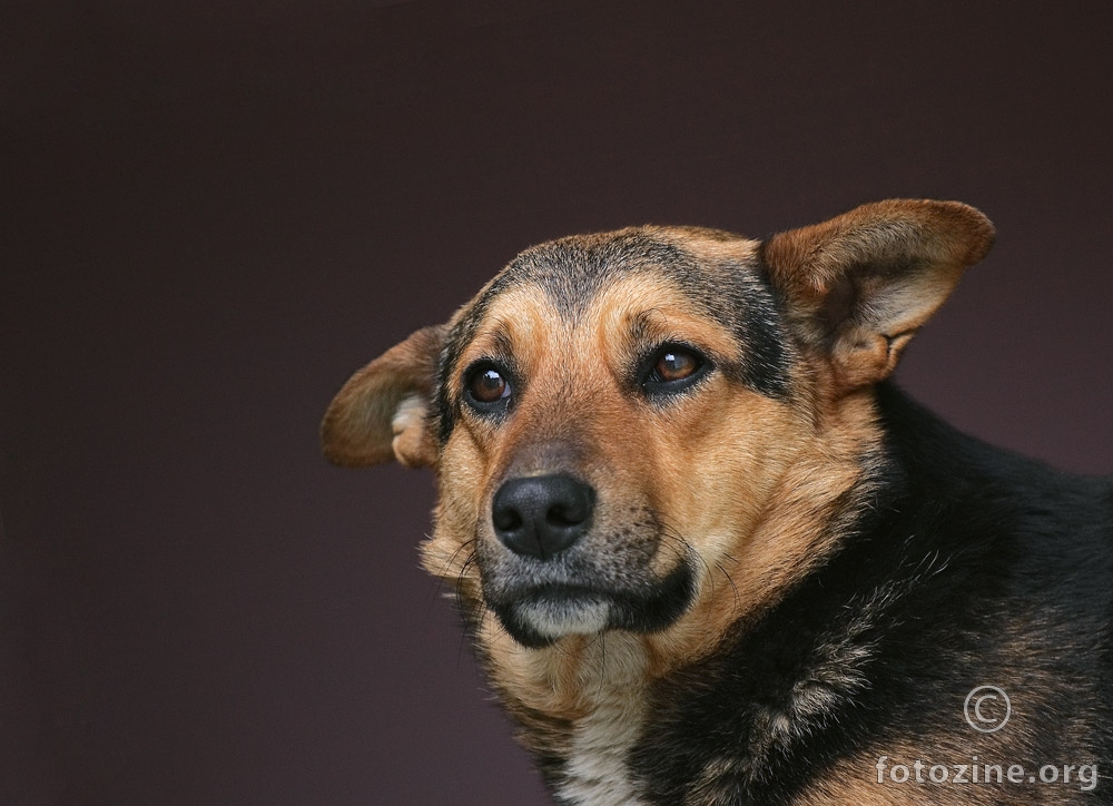 portret Yode