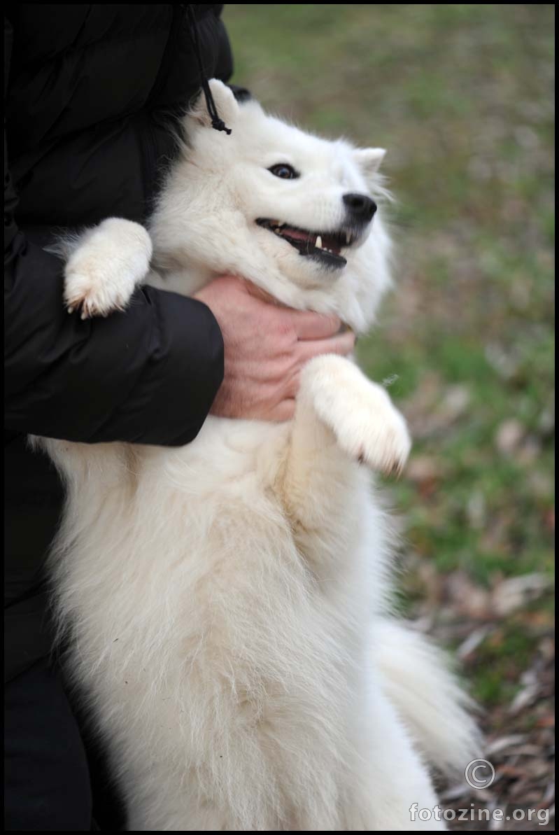 smijem se kad me češkaju po vratu