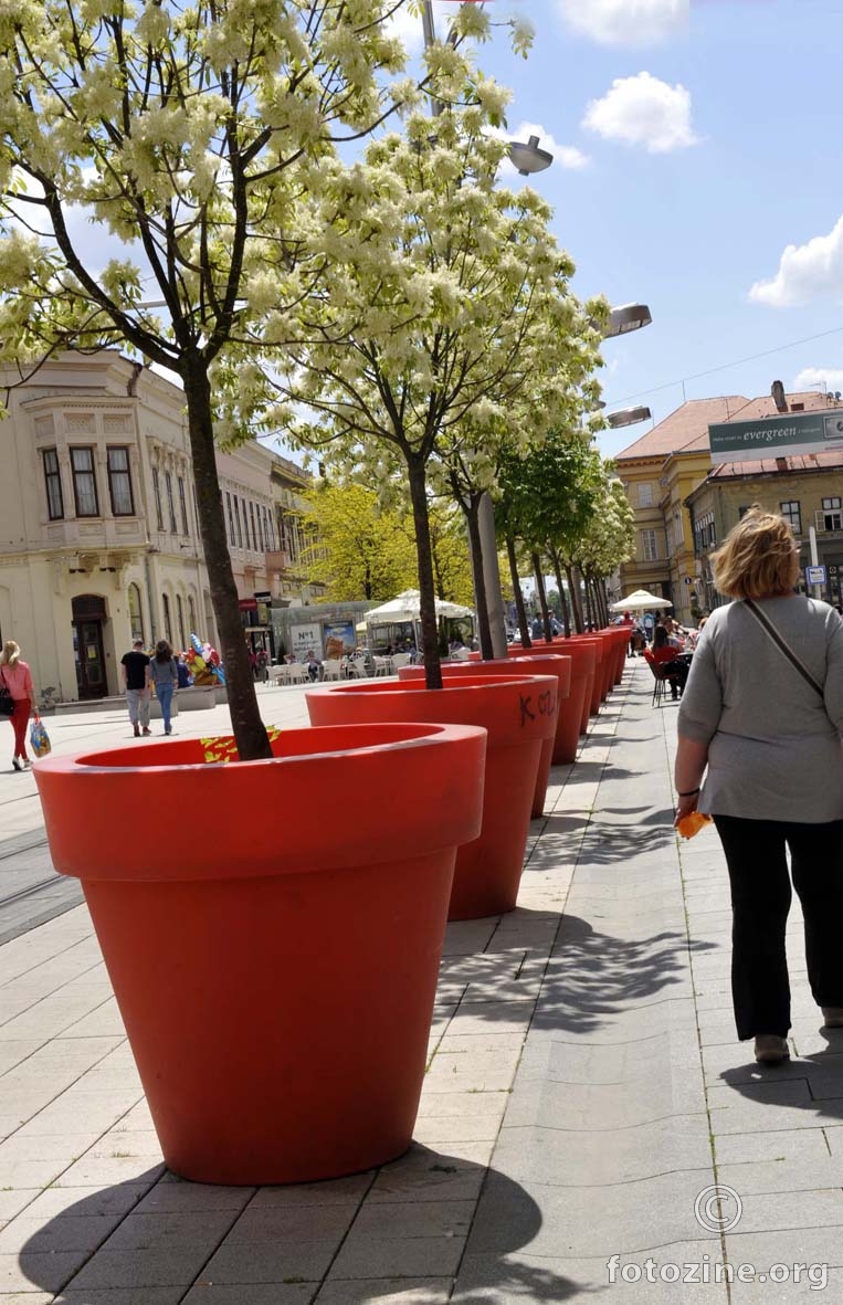uspomene iz Osijeka